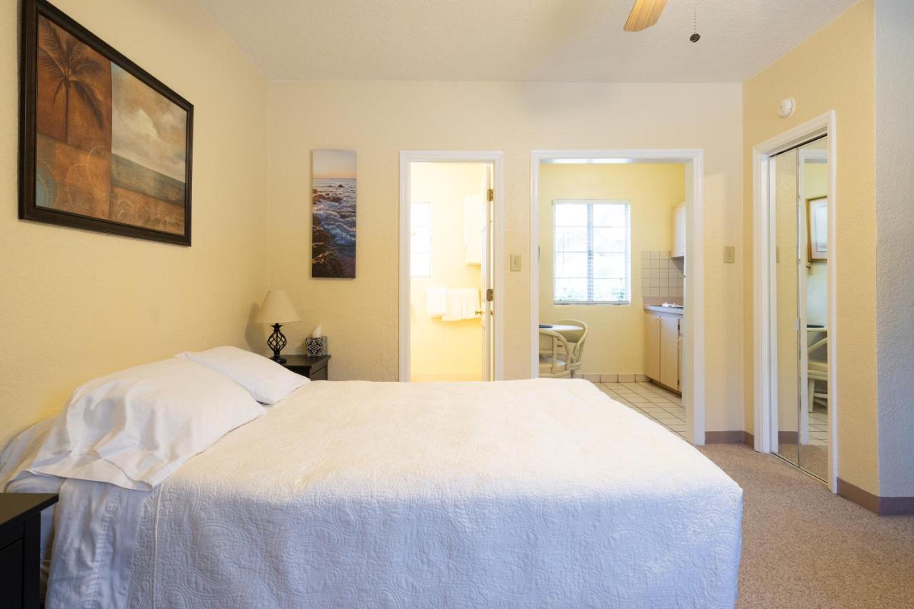 Mar Bay Exclusive Suites Safety Harbor Eksteriør bilde