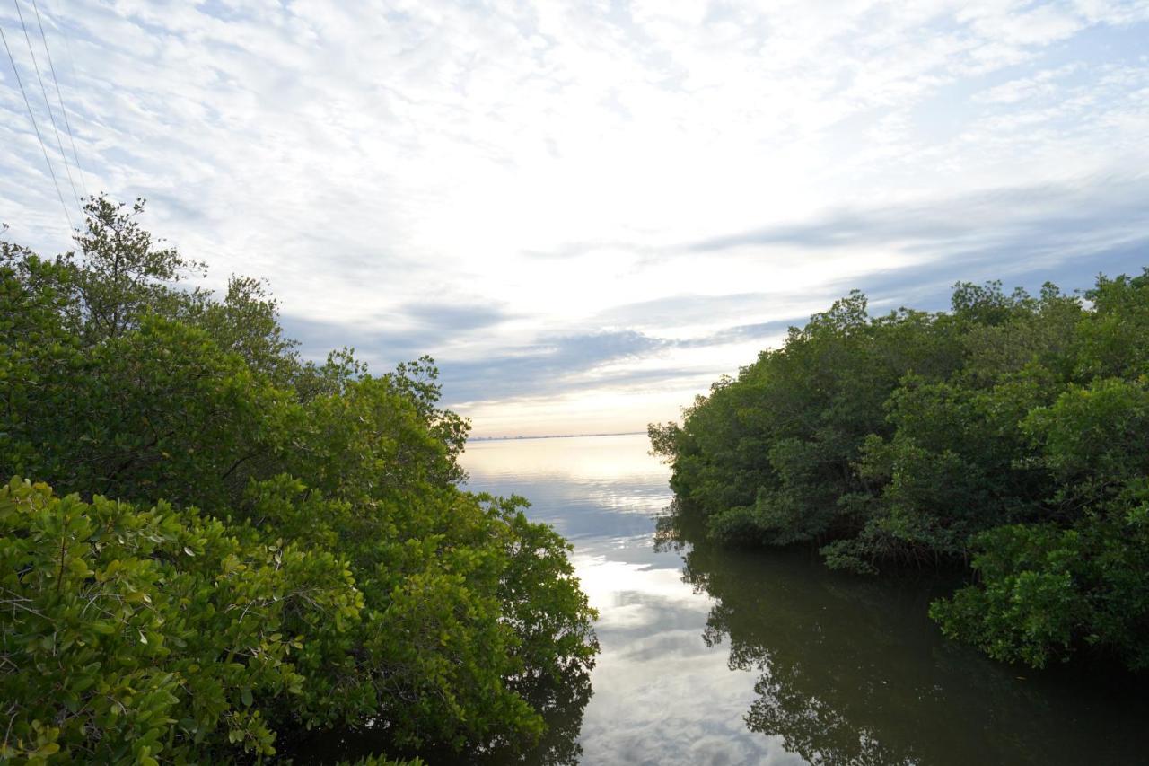 Mar Bay Exclusive Suites Safety Harbor Eksteriør bilde