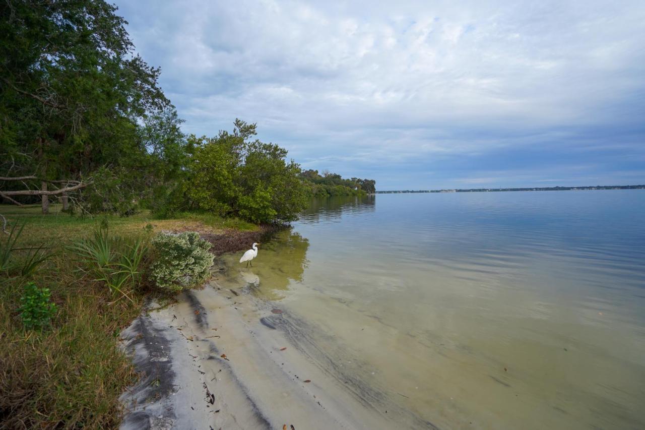 Mar Bay Exclusive Suites Safety Harbor Eksteriør bilde